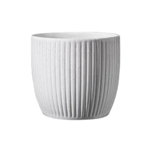 Suojaruukku Belice Delight 13cm (eri värejä)